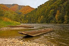 Rezerwat przyrody Kłodne nad Dunajcem